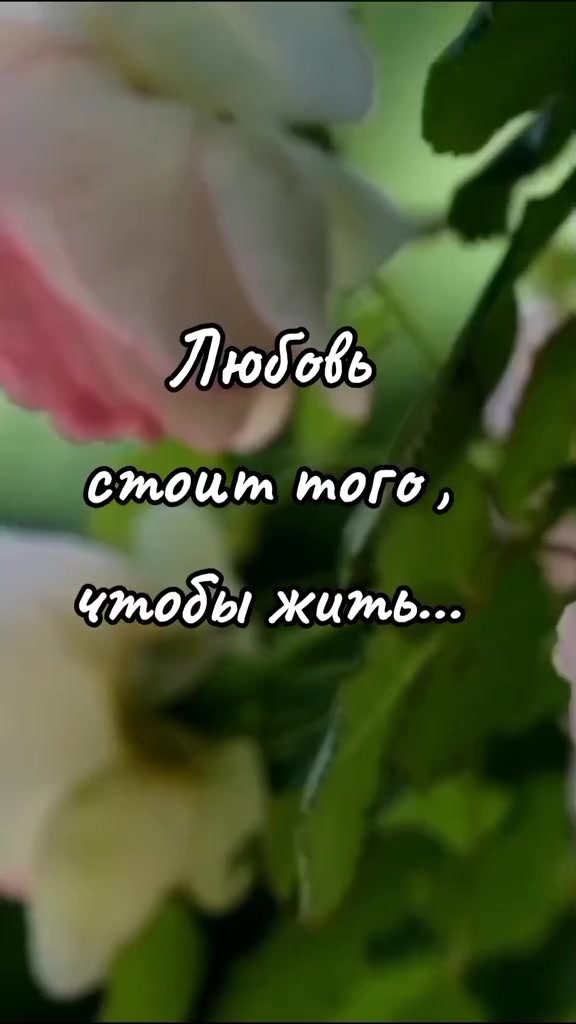 @niko