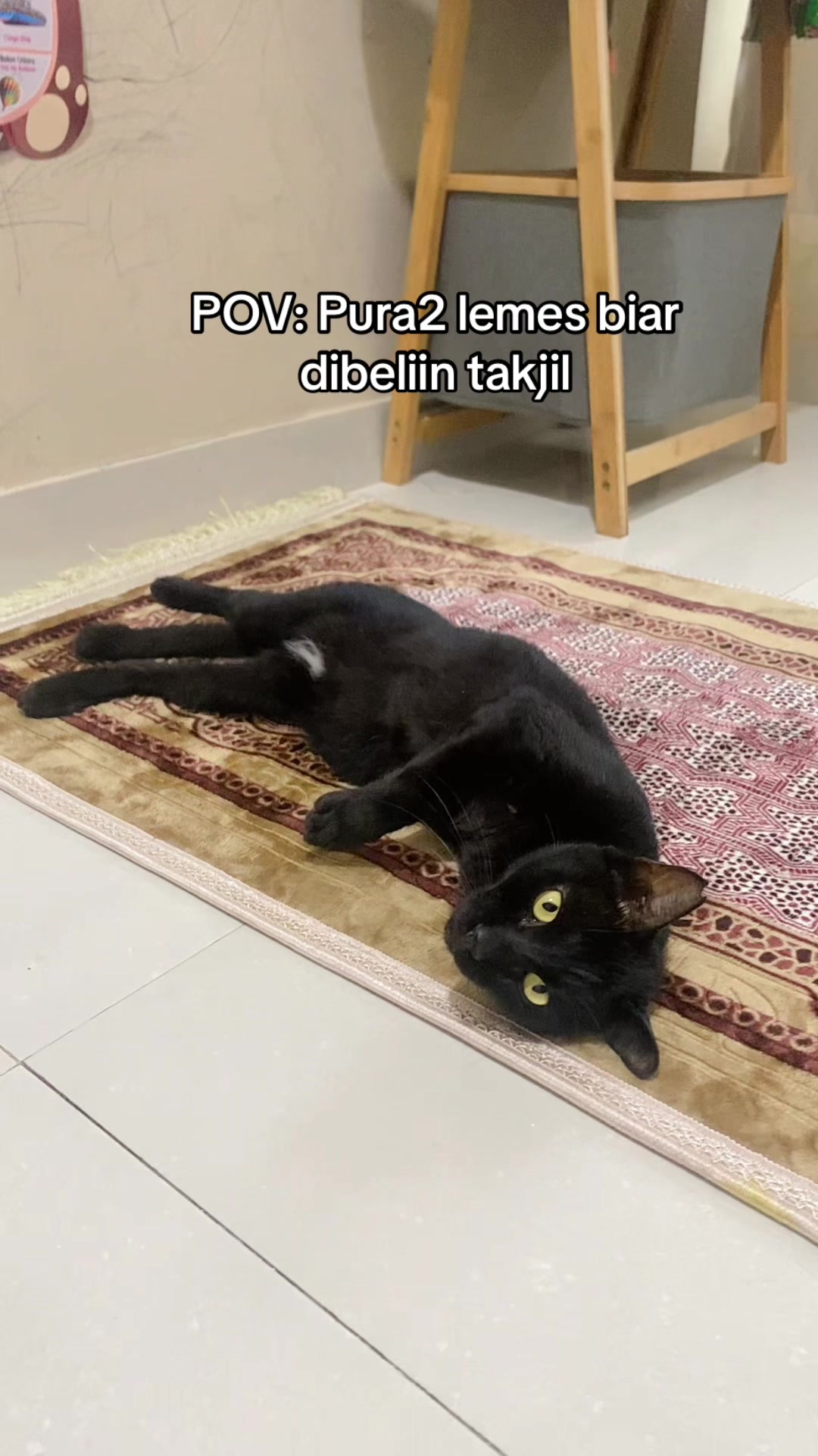 @Haqhaqcatsnfams