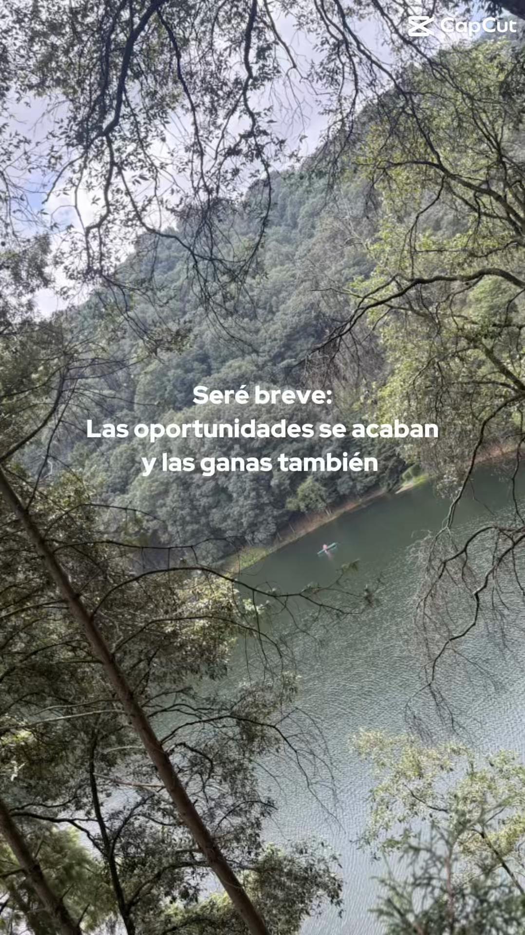 @Larissa Flores