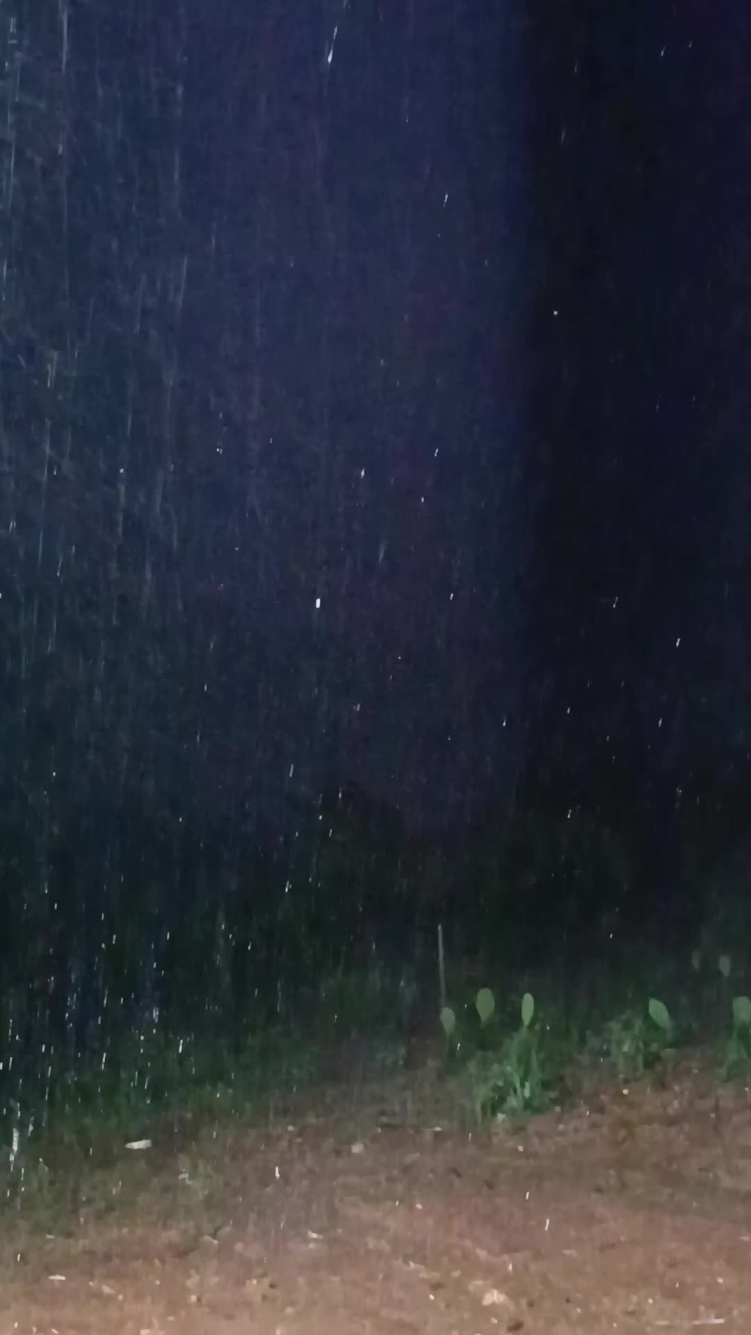 @NordesteCapturado