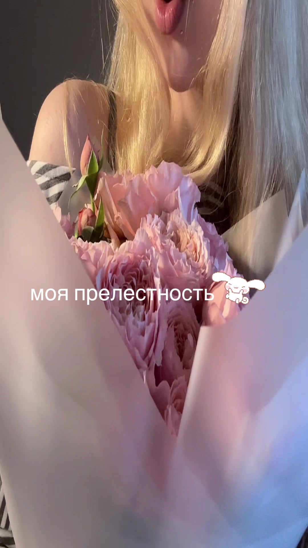@tayga_net