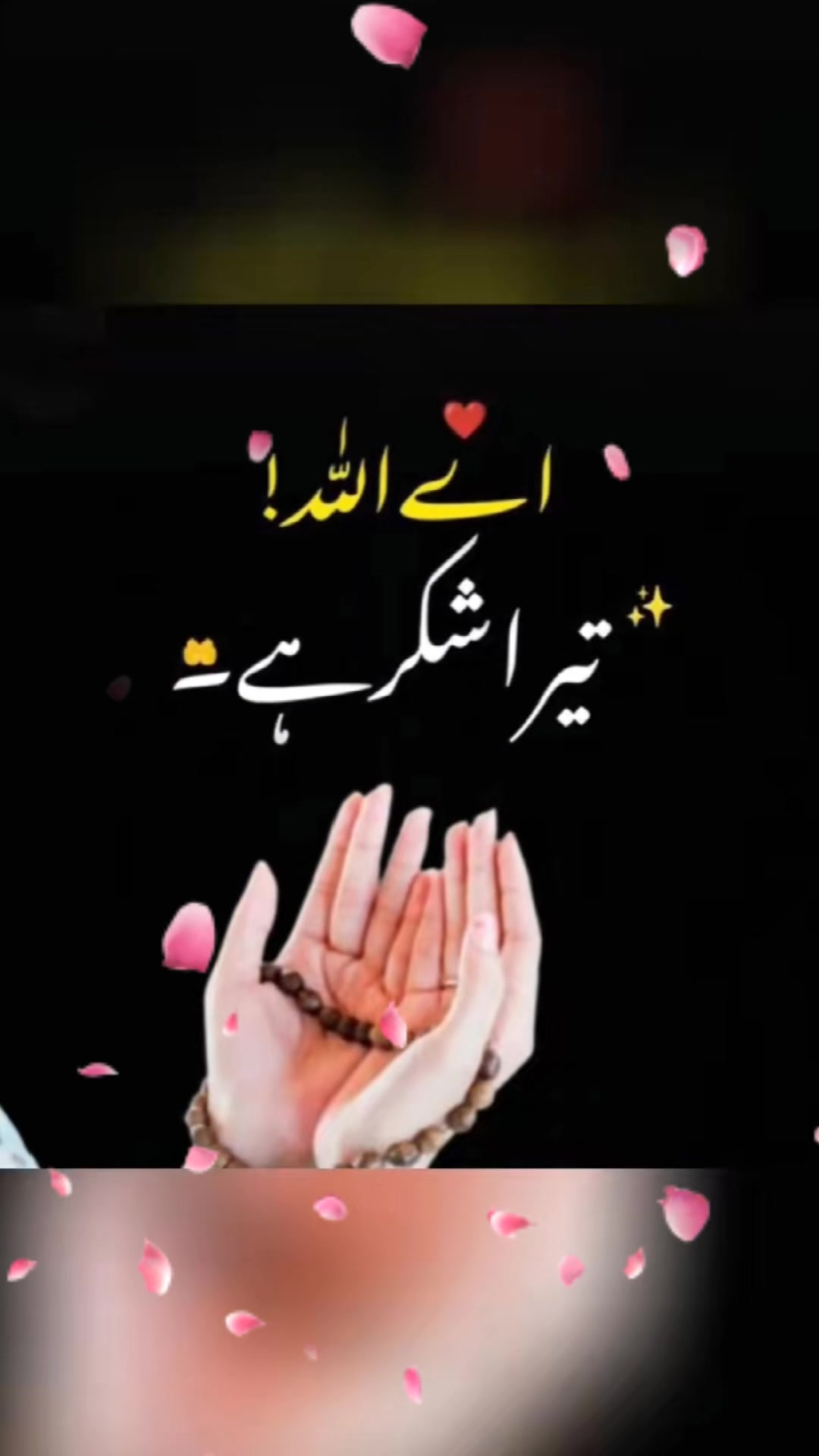@Dua fatima