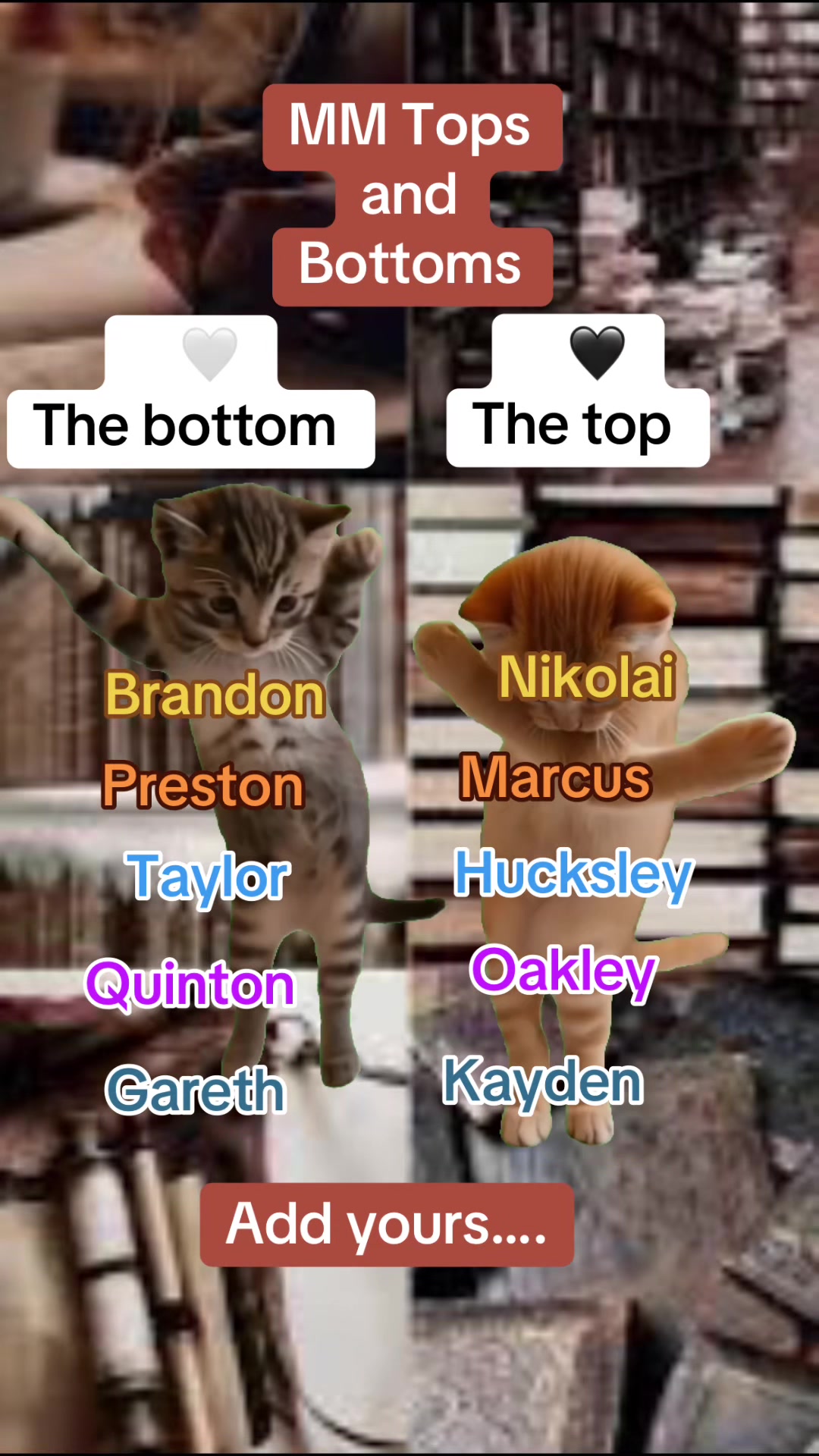 @✨𝓐𝓺𝓾𝓪𝓻𝓲𝓪𝓷📚