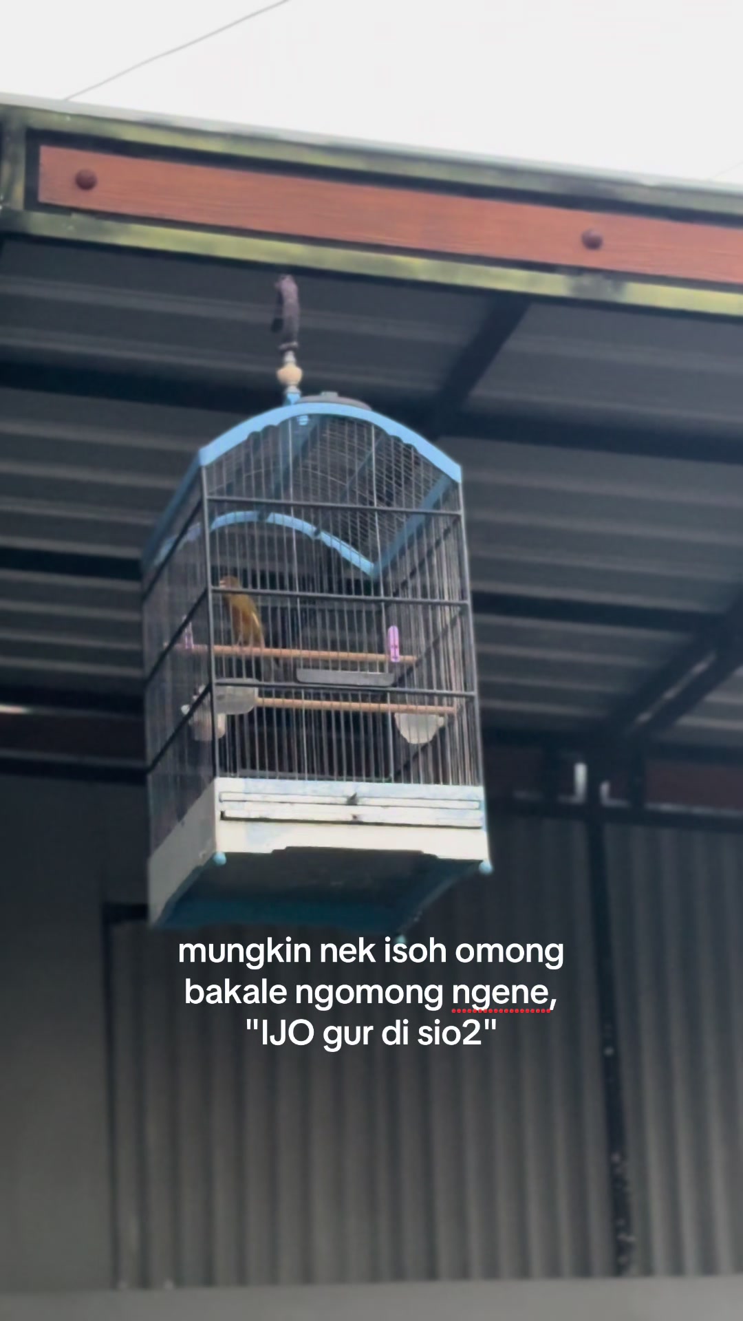 @Dirga Putu
