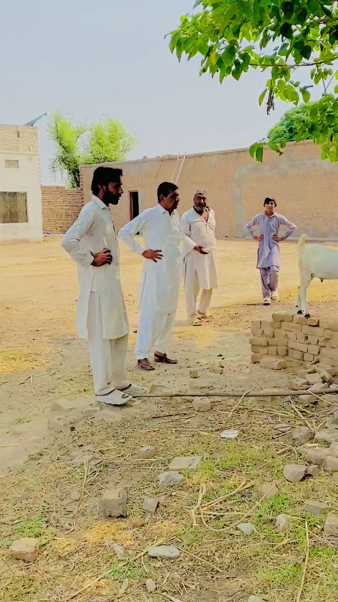 @Saadi khan Niazi 🇶🇦🇵🇰