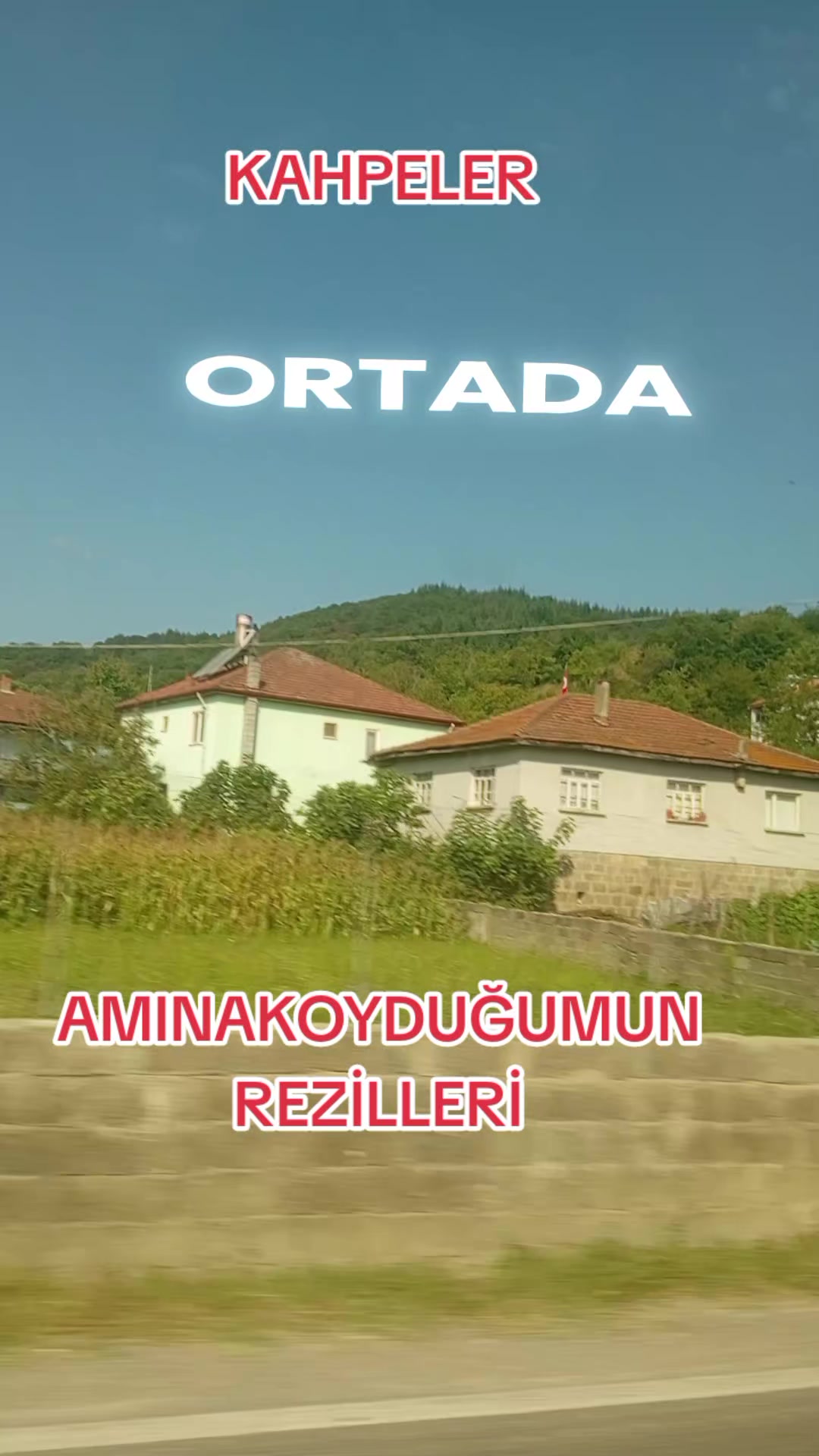 @🦁 SAKİN OLUN BEN GELDİM SLM🦁