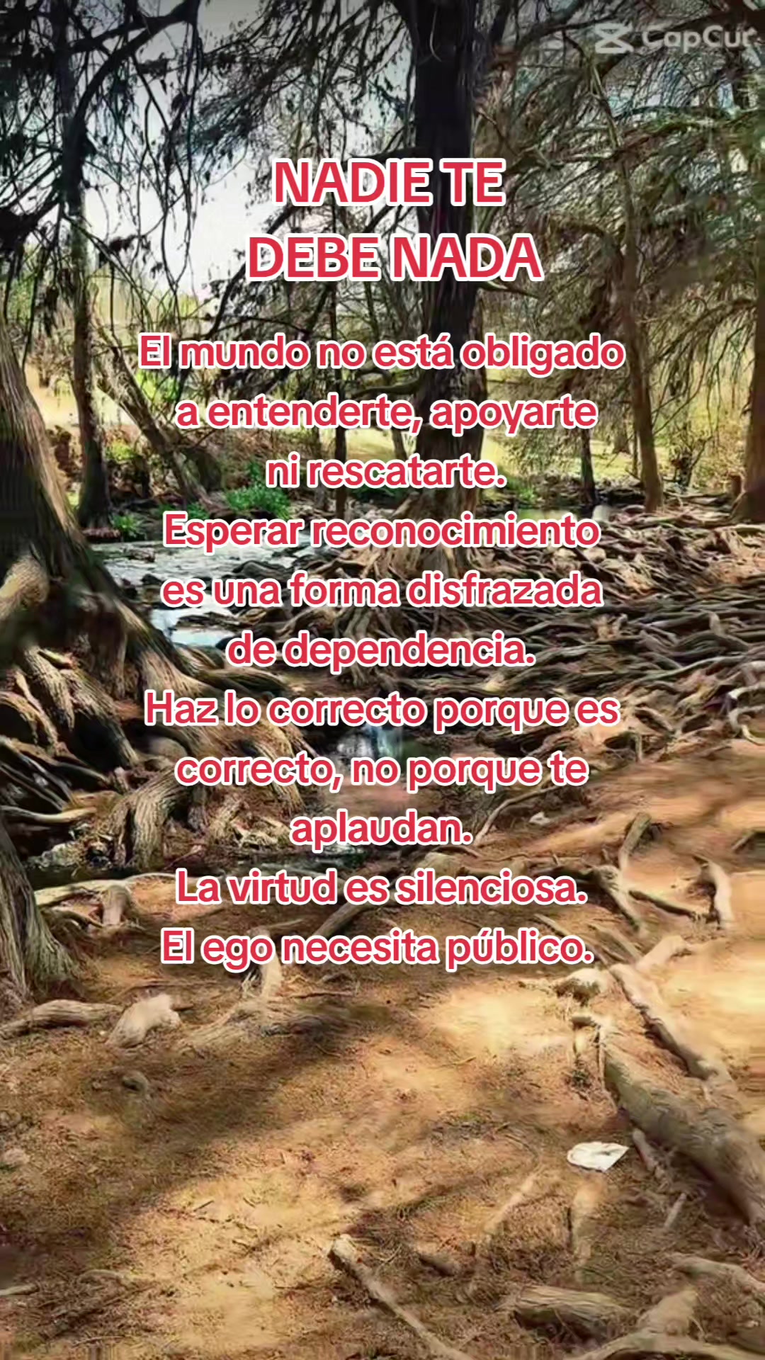 @Erikaruizeza