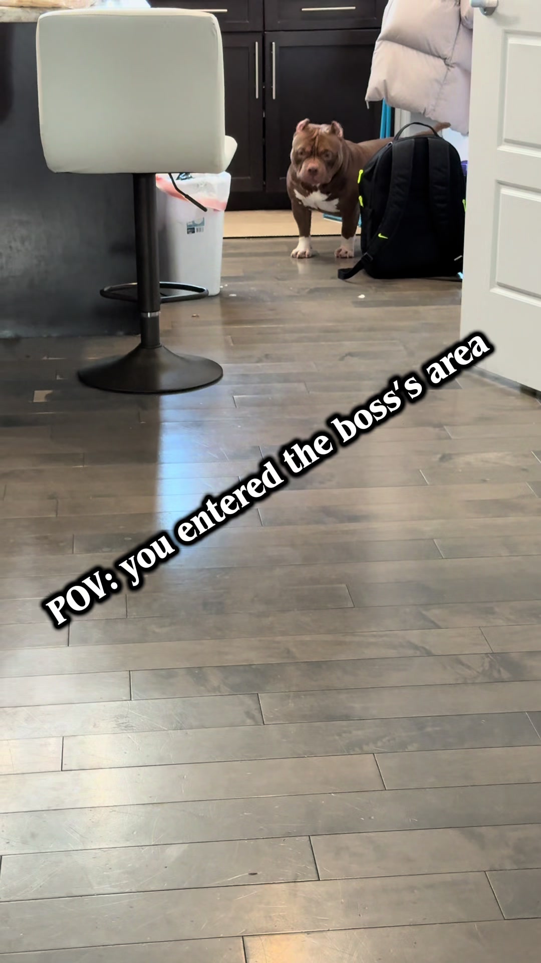 @Boss Bully
