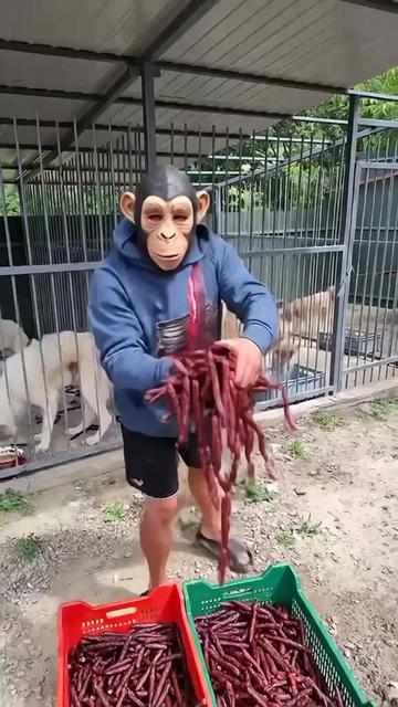 @Пашка Замачав