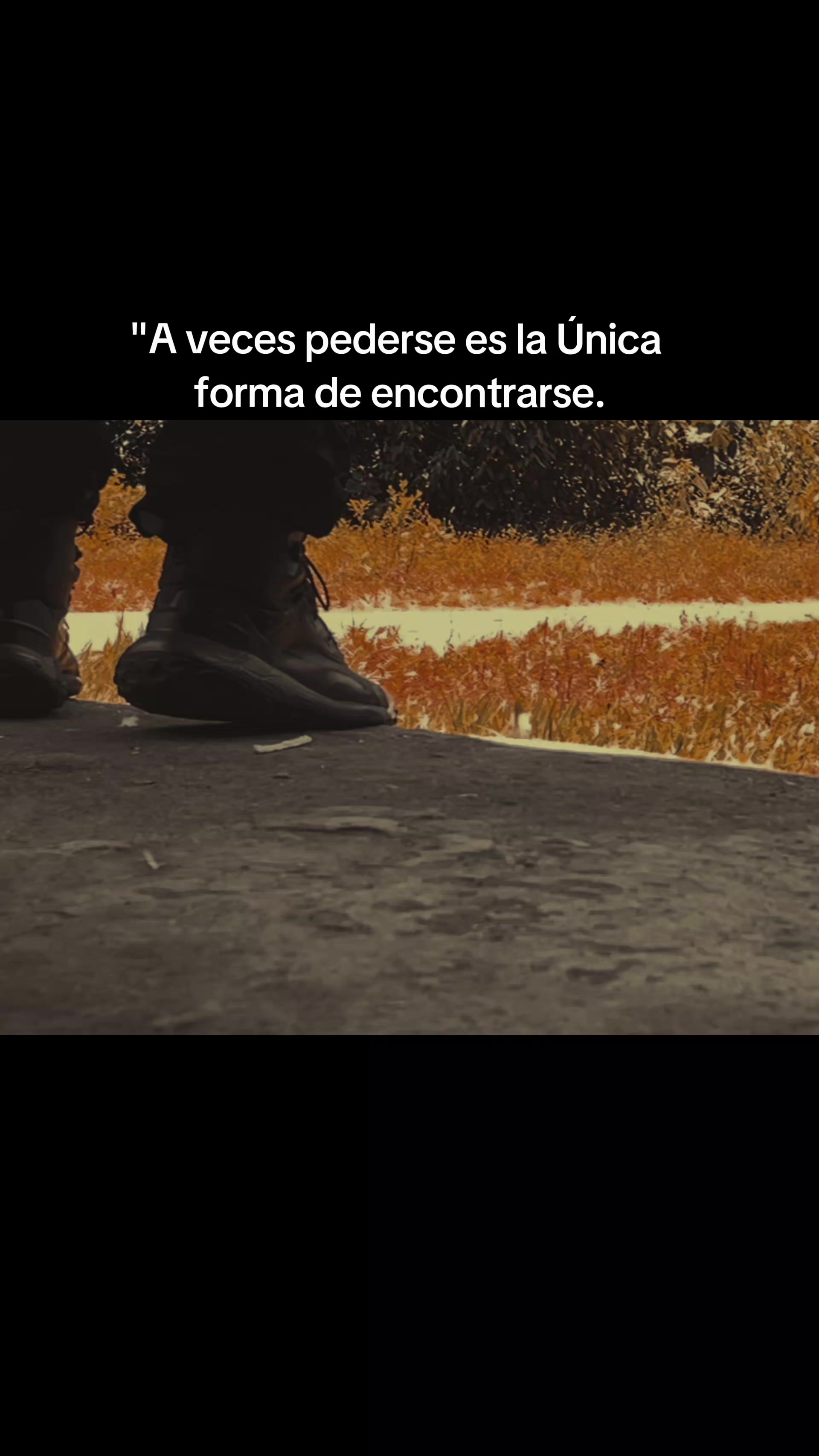 @El-Comis El Rey de la Realidad