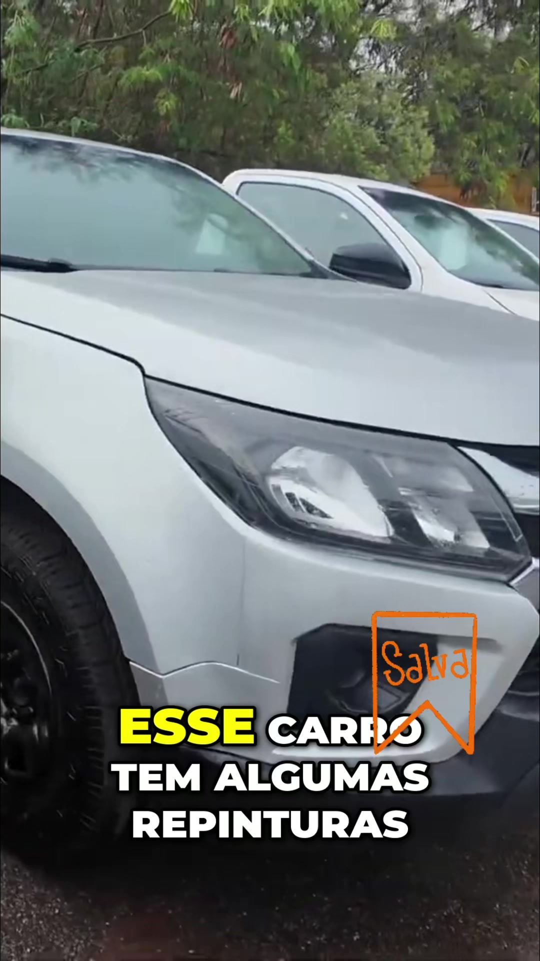 @Cortes tudo sobre Leilao