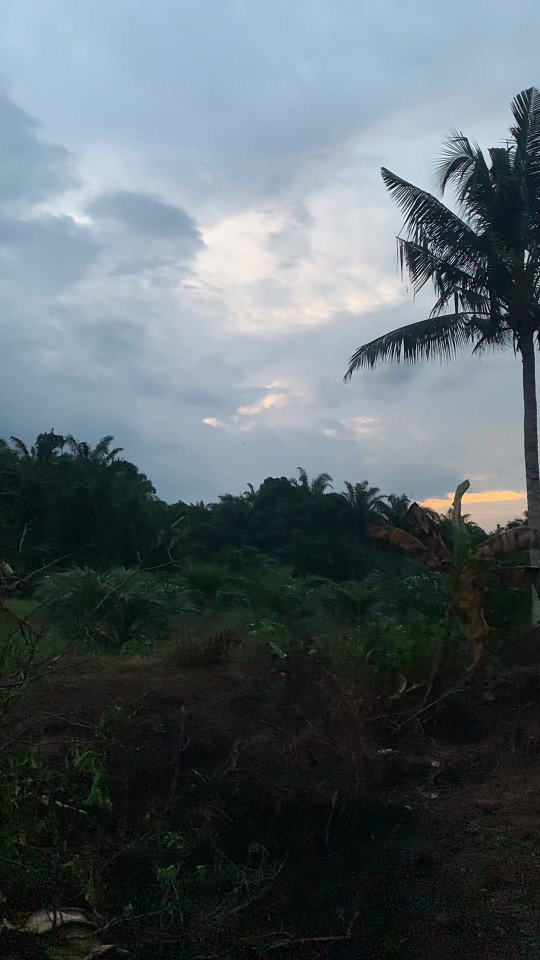 @Sandex Kalimantan