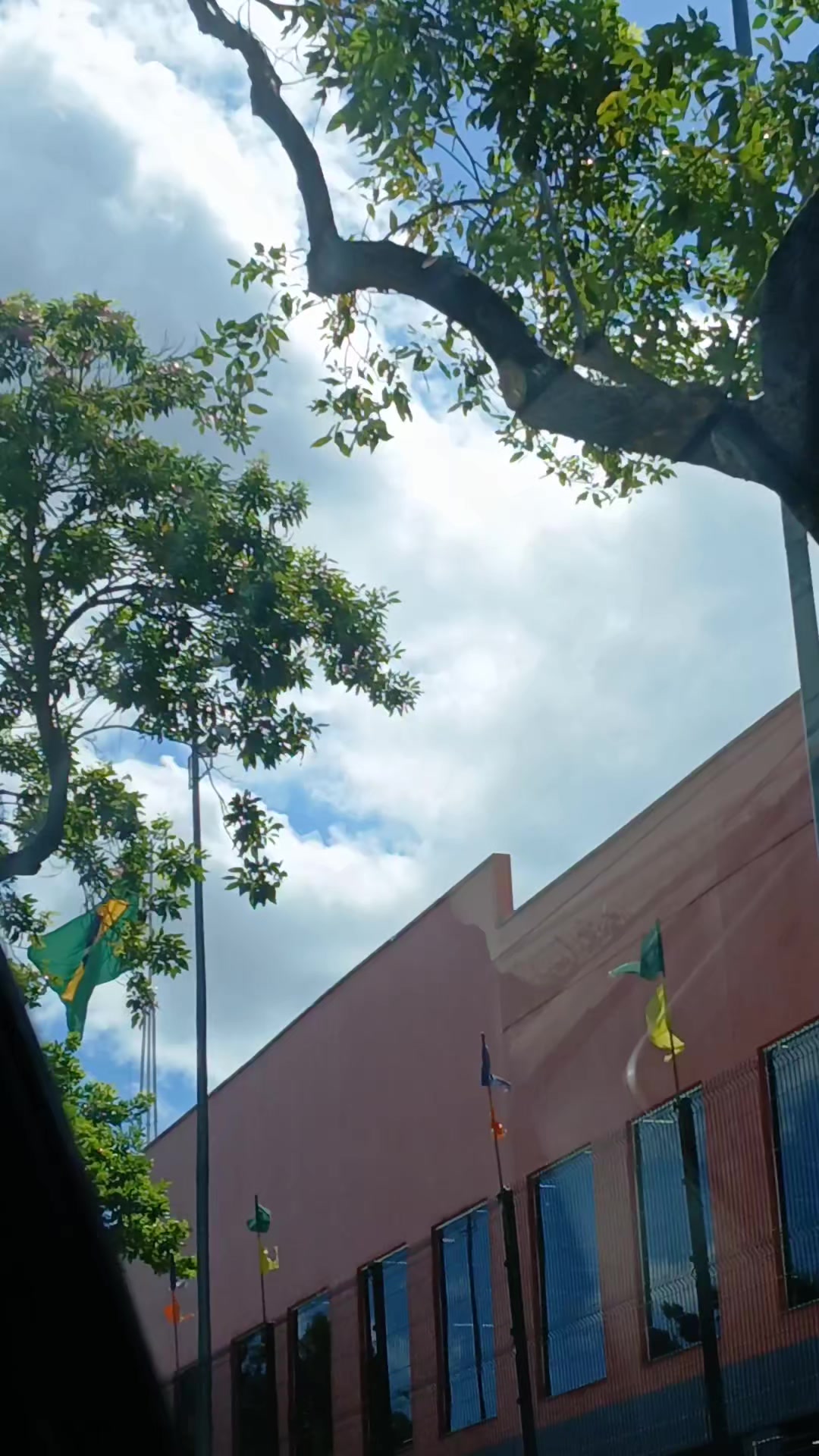 @Juci Oliveira