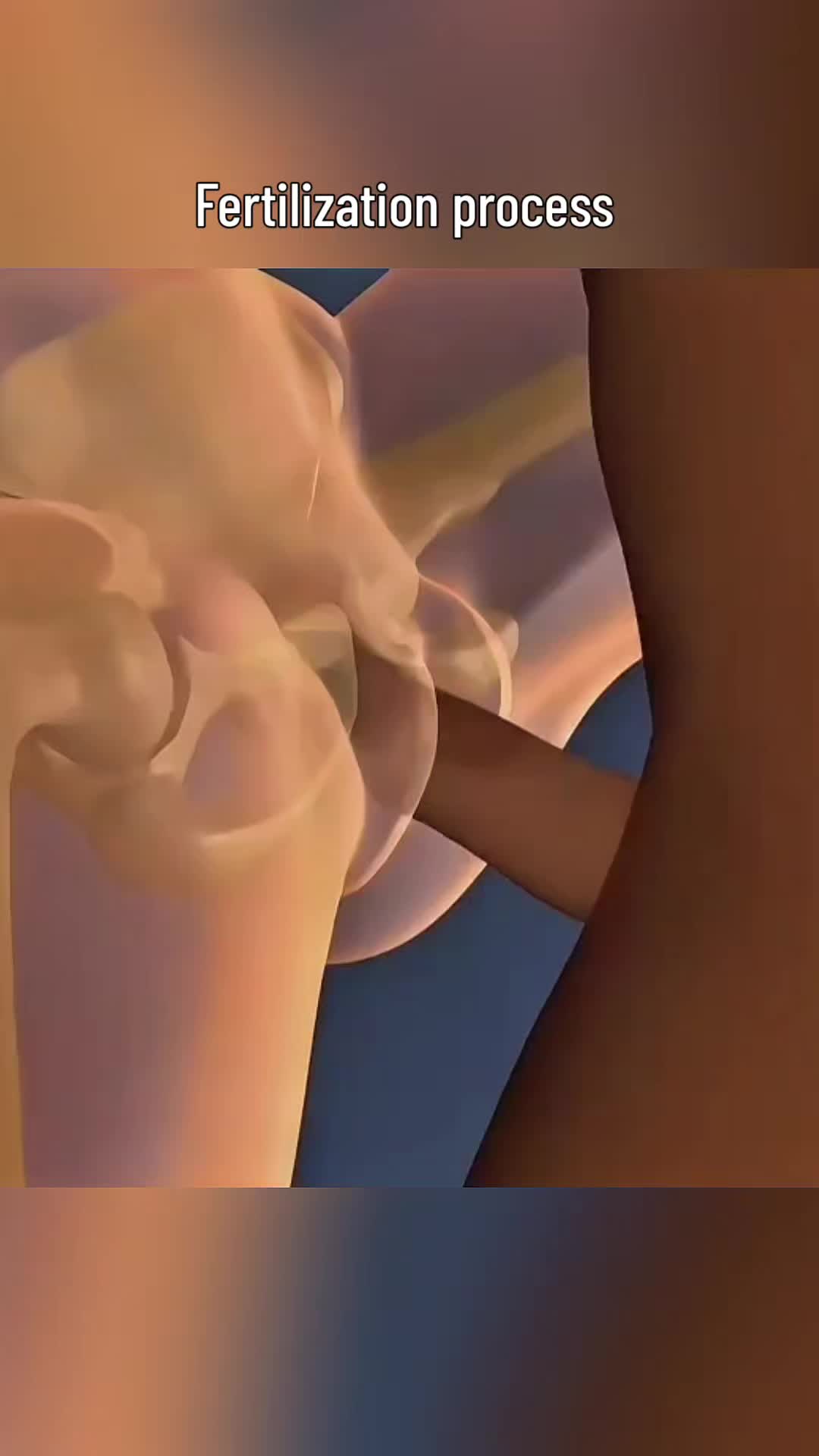 @femniverse 3