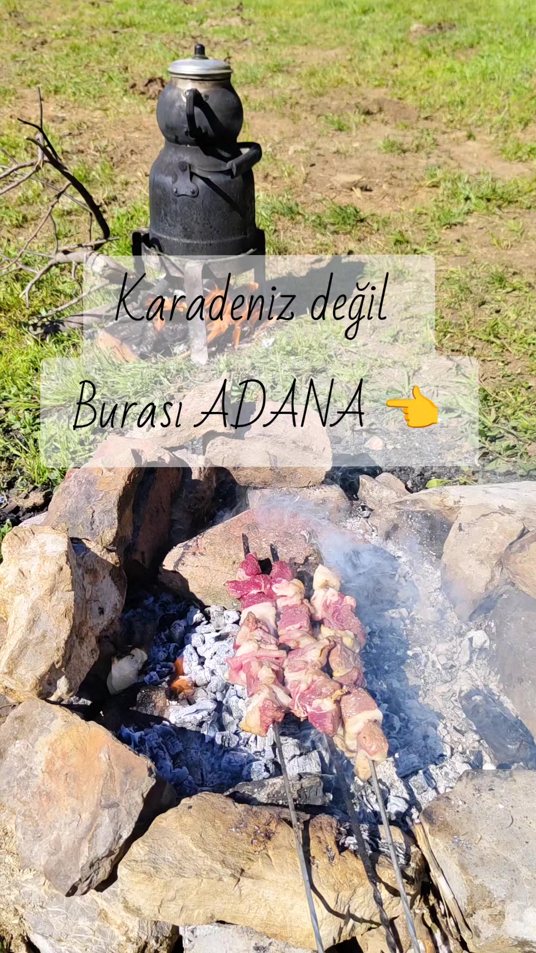 @M.SLN kod adı 007