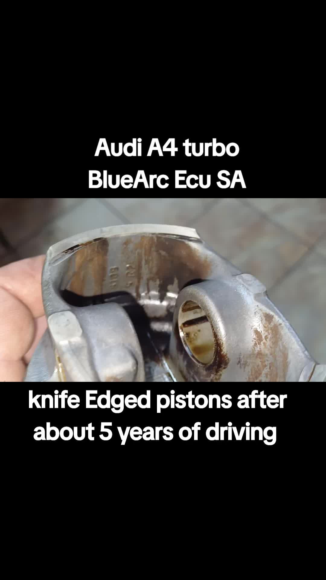 @BlueArc Ecu South Africa