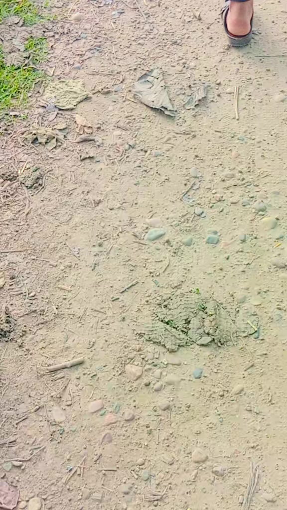 @जितमा सधै जगदीश