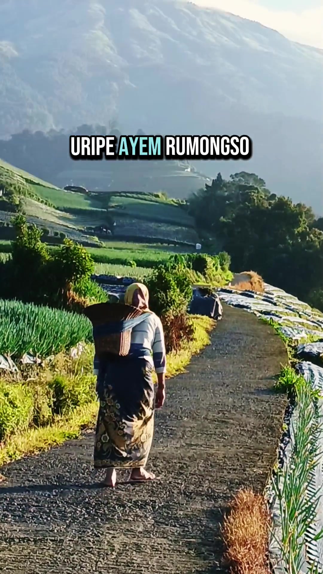 @LANA GIRI