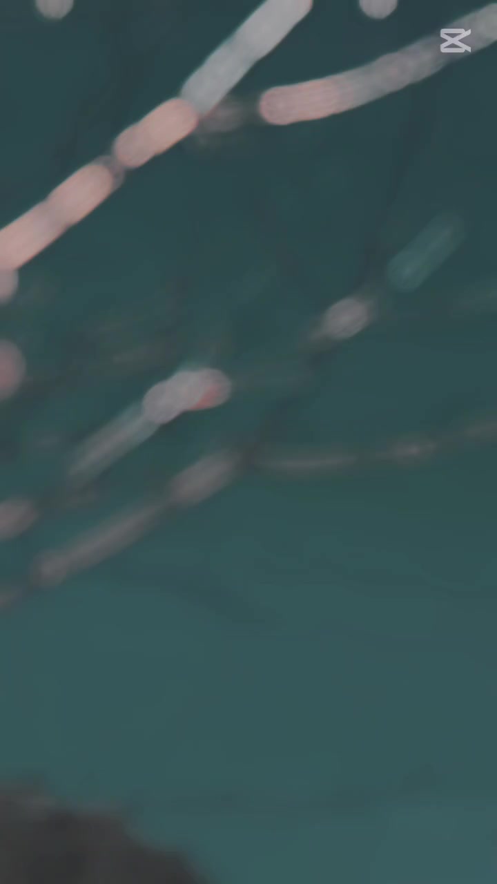 @ᴹᴿ⋆ꘘคн&alpha;ᴅ✨