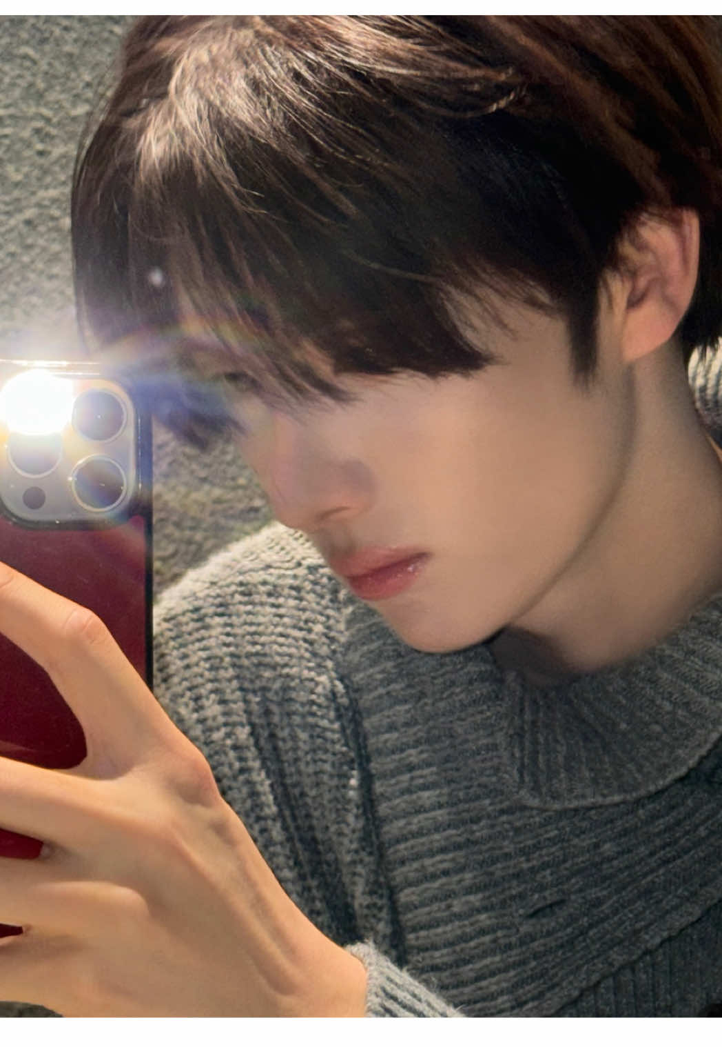 @냥멍멍