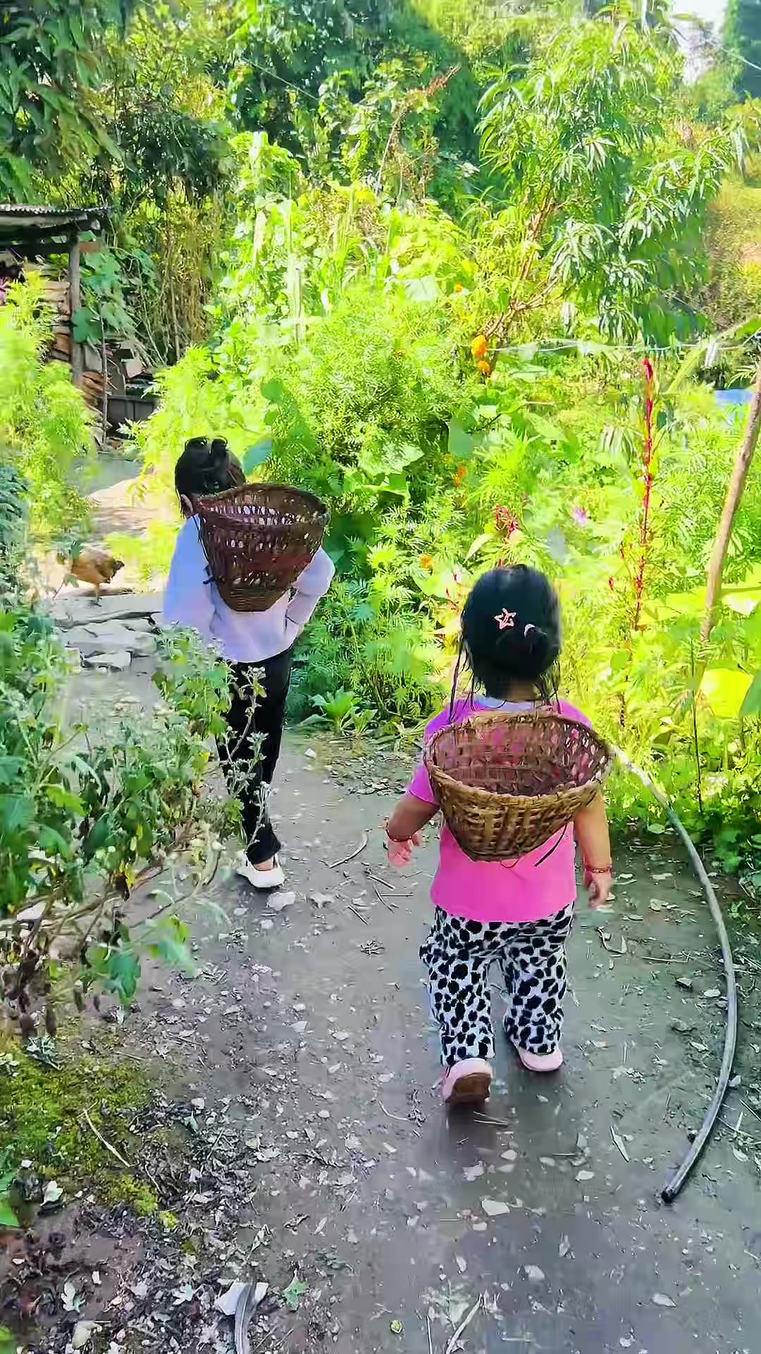 @🍀