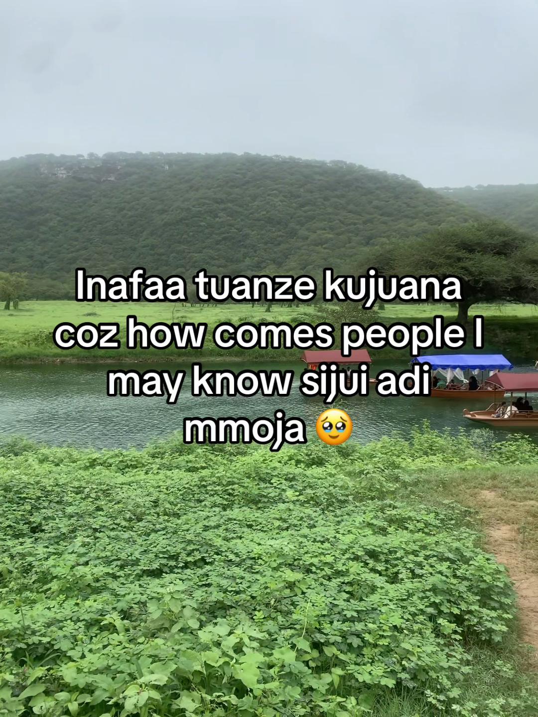 @dijo