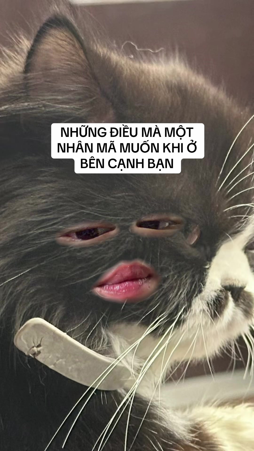 @Arian.astro