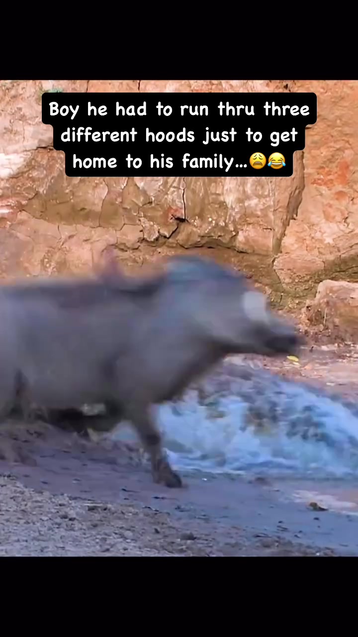 @OG_Bat