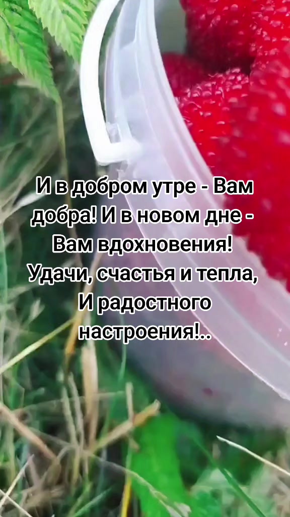 @Lesya Bronzova