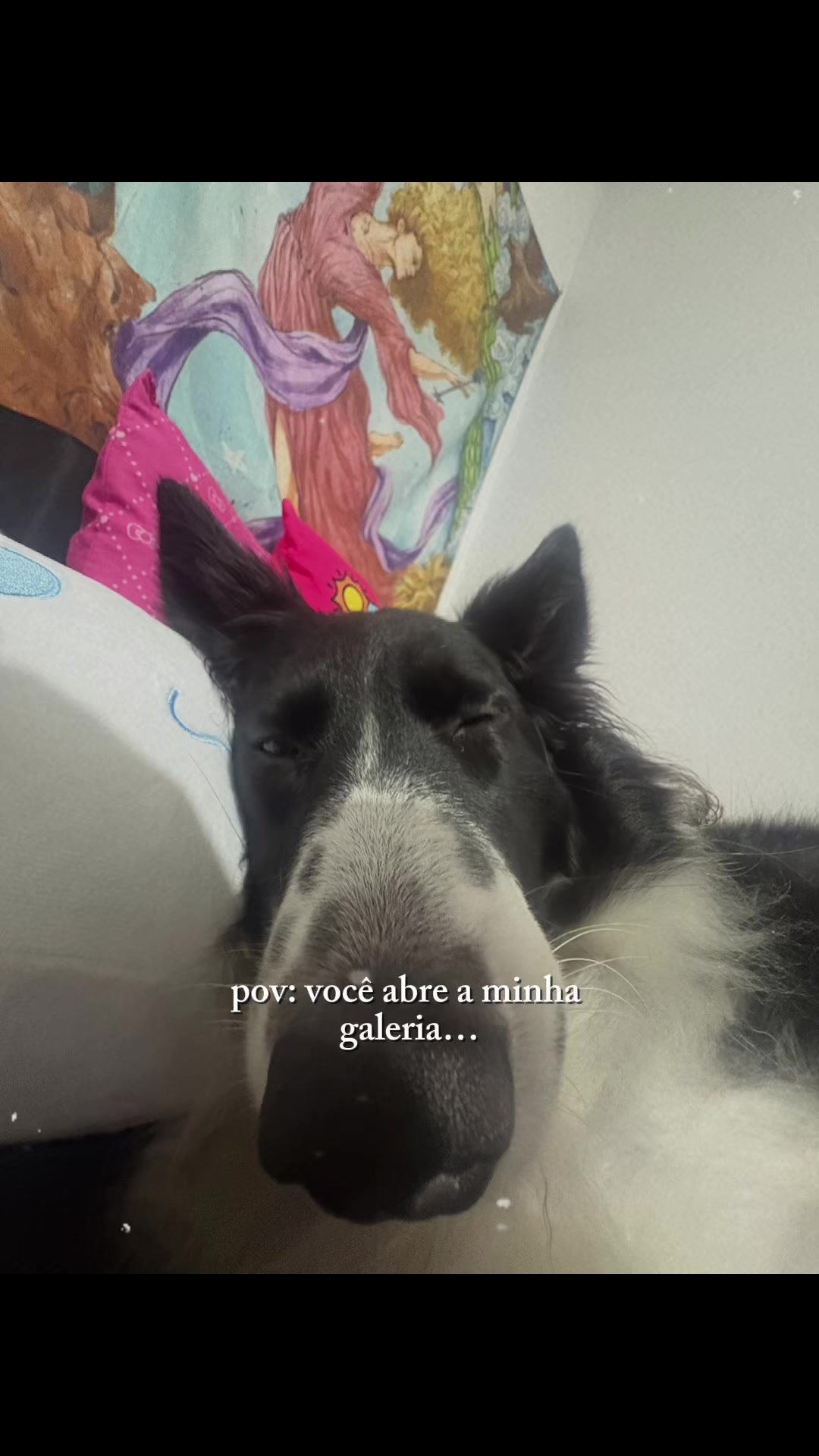 @Aninha