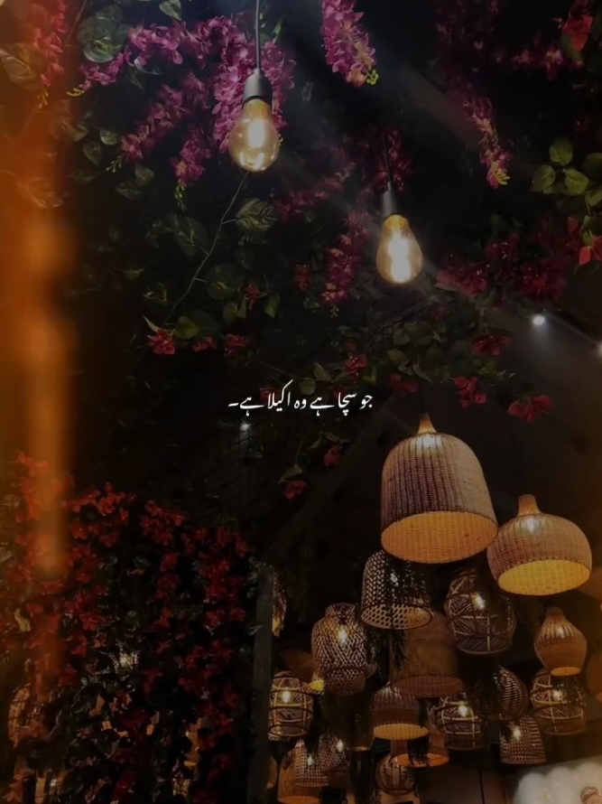 @ʜ ᴀʀɪ s 🤍🪽