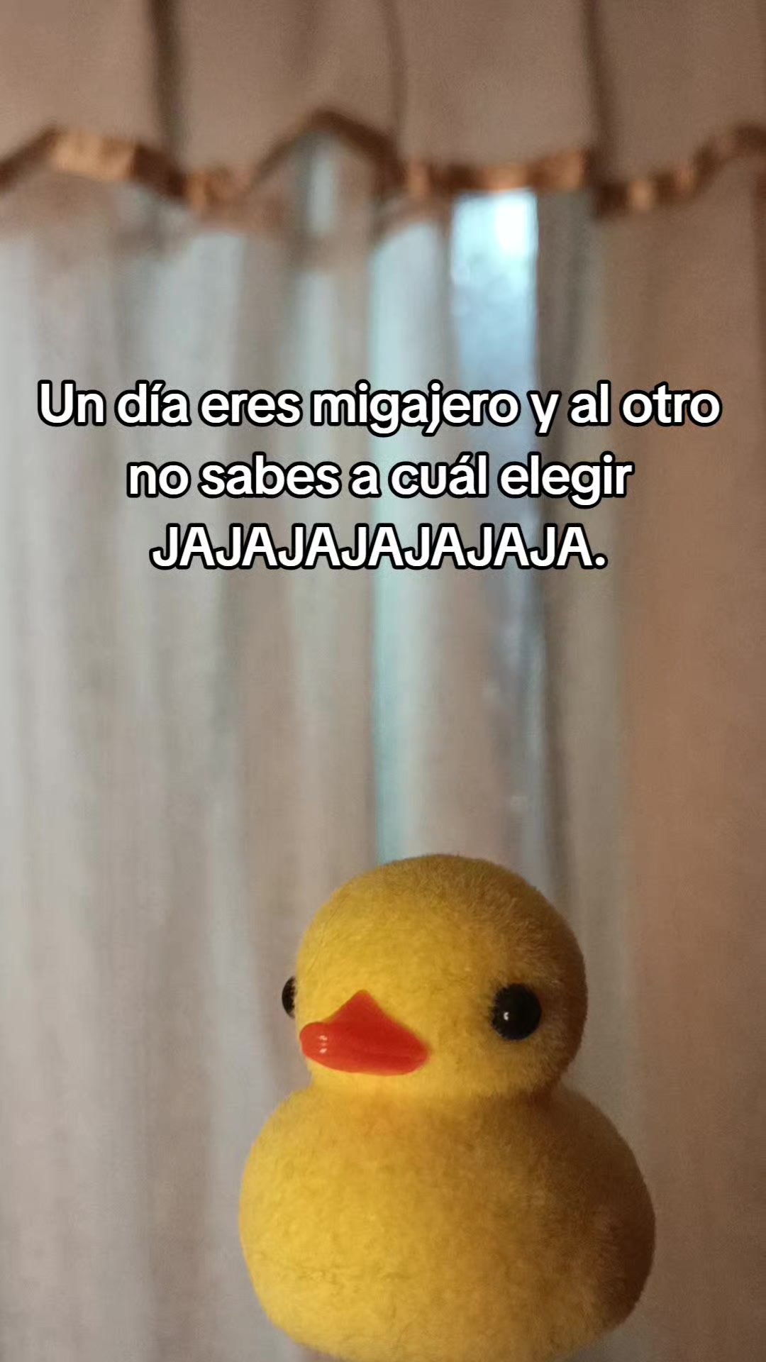 @•El_Trolux•🥑