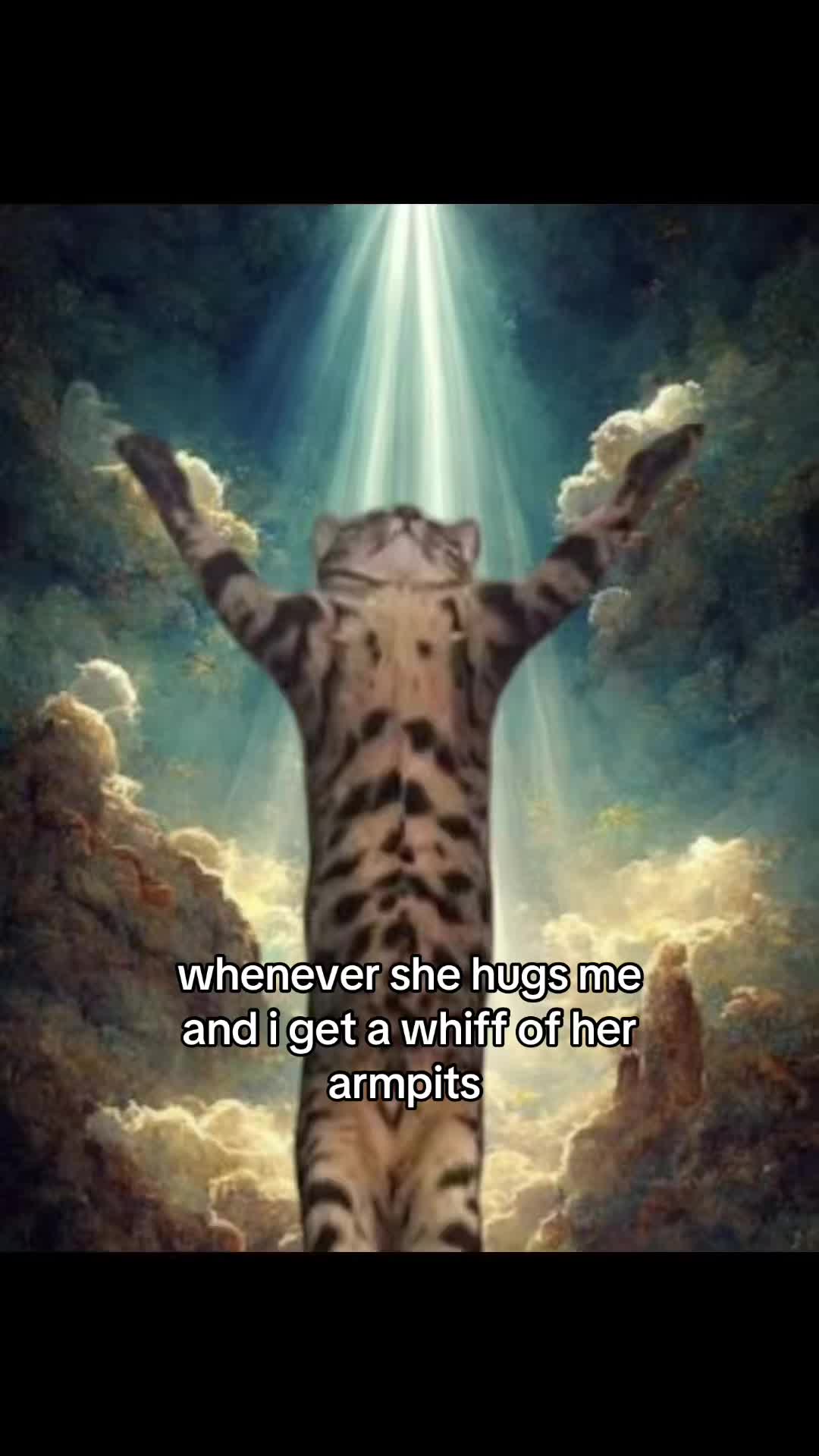 @meowconcept