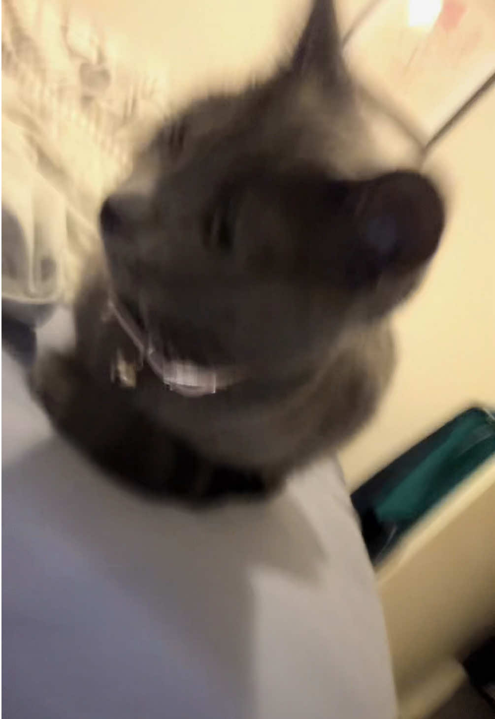 @G ᖭི༏ᖫྀ