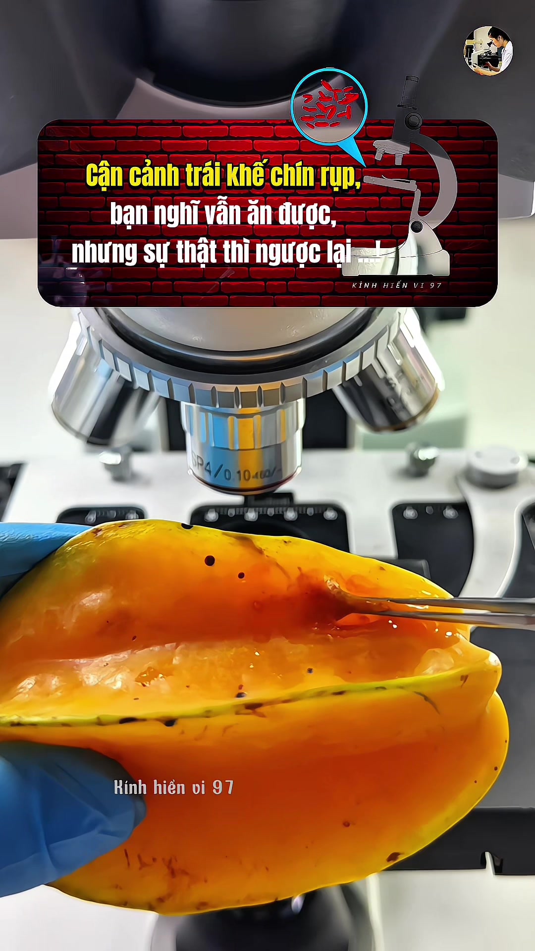 @Kính hiển vi 97
