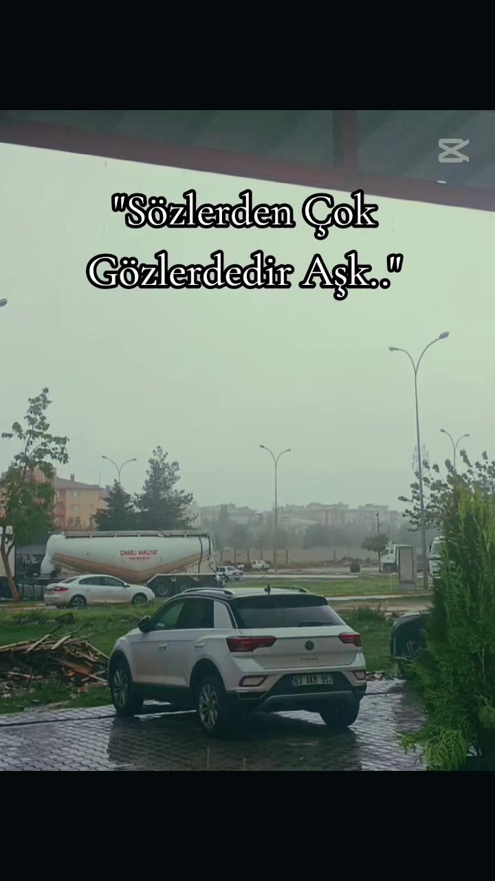 @❤️🩹🕊️