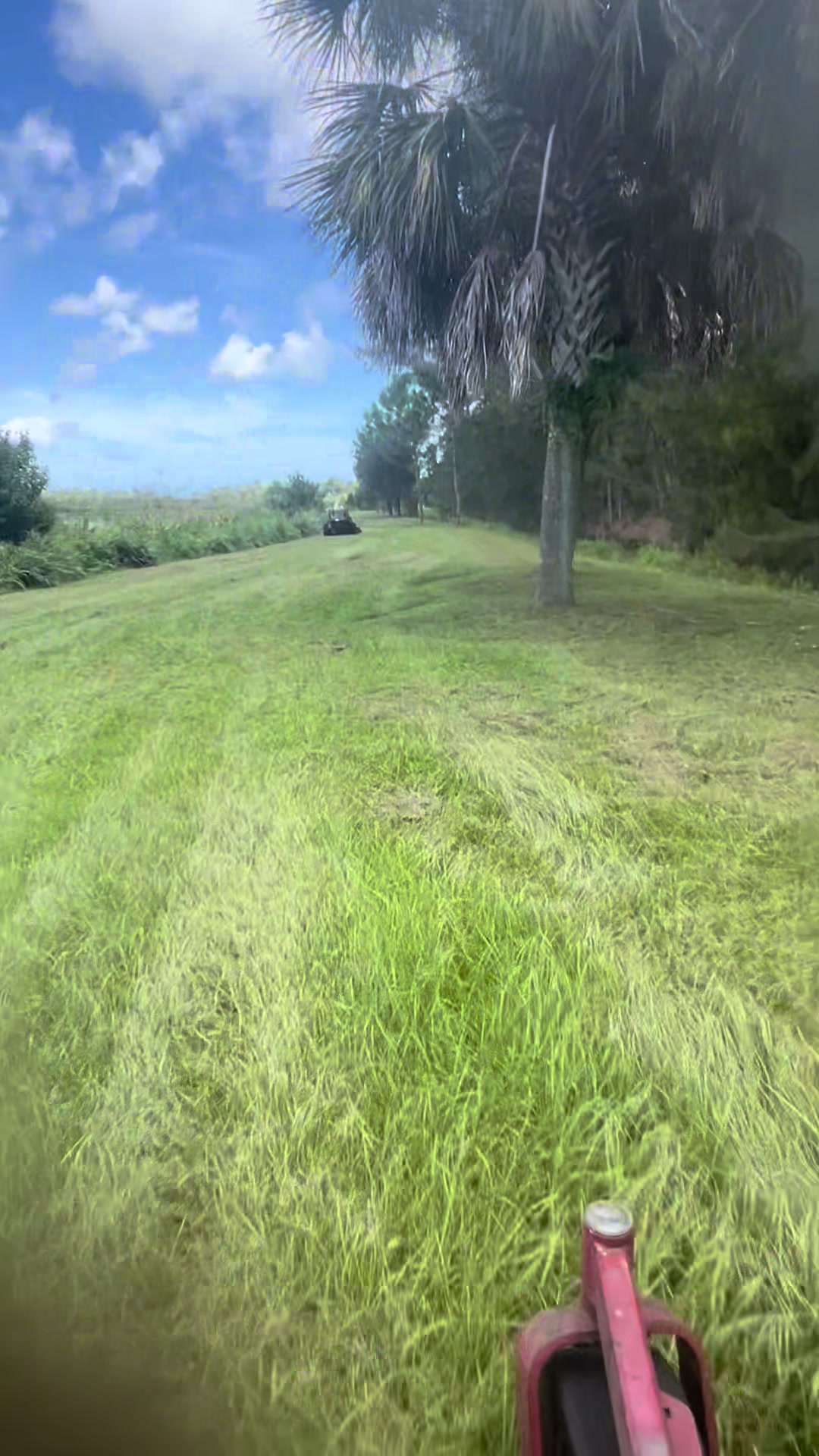 @El temerario 🐕