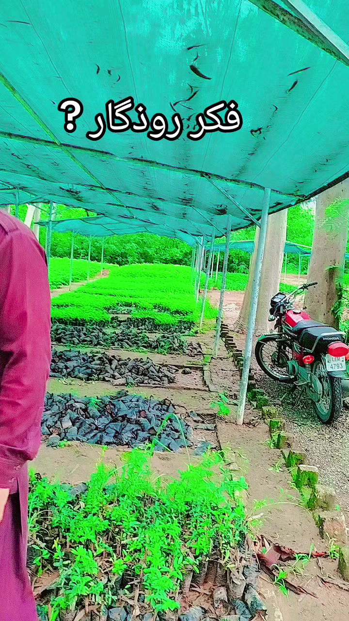 @Raja Zaheer