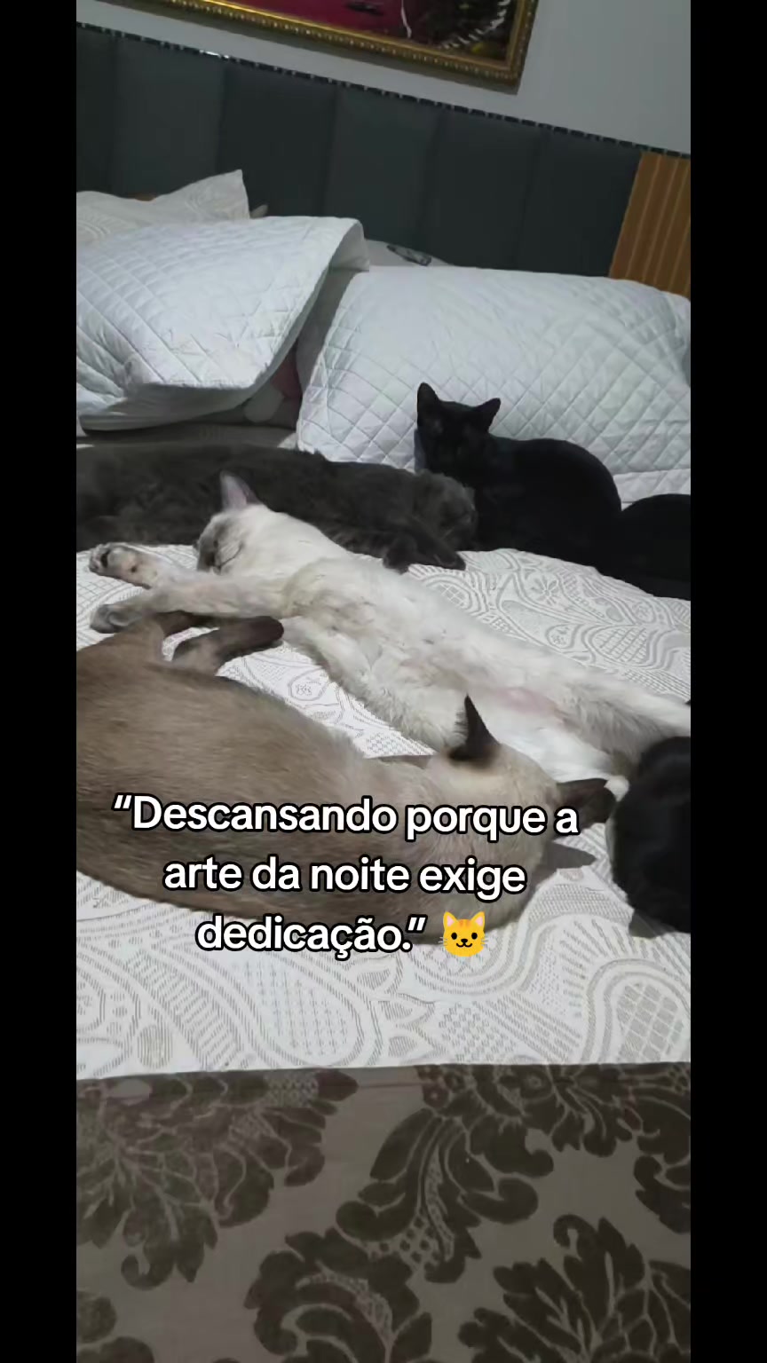 @taty_2803