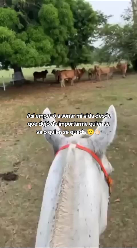@Juan Meza