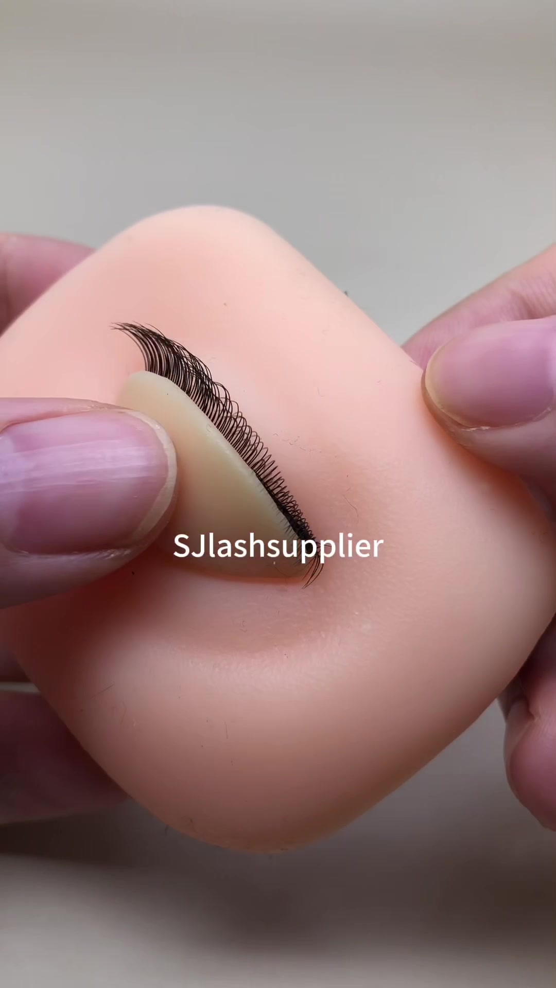 @sjlashsupplier.zoe