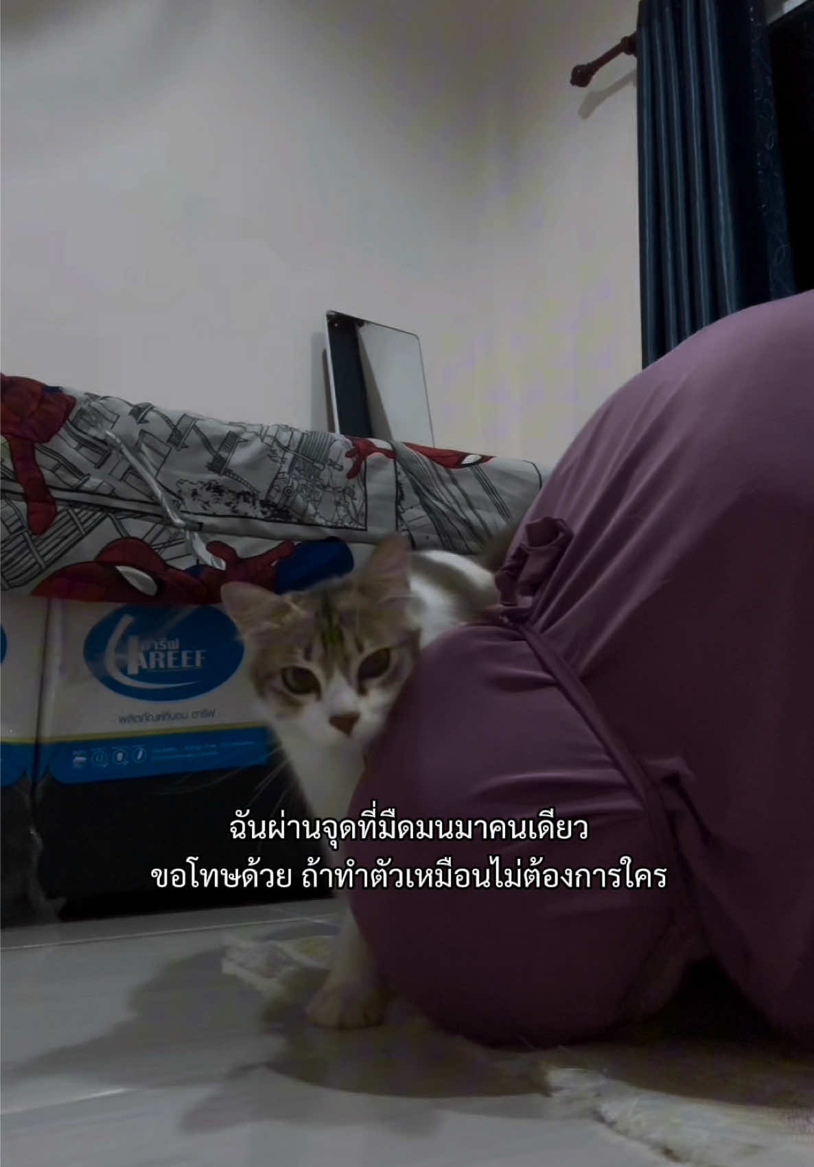 @i.toodmimi