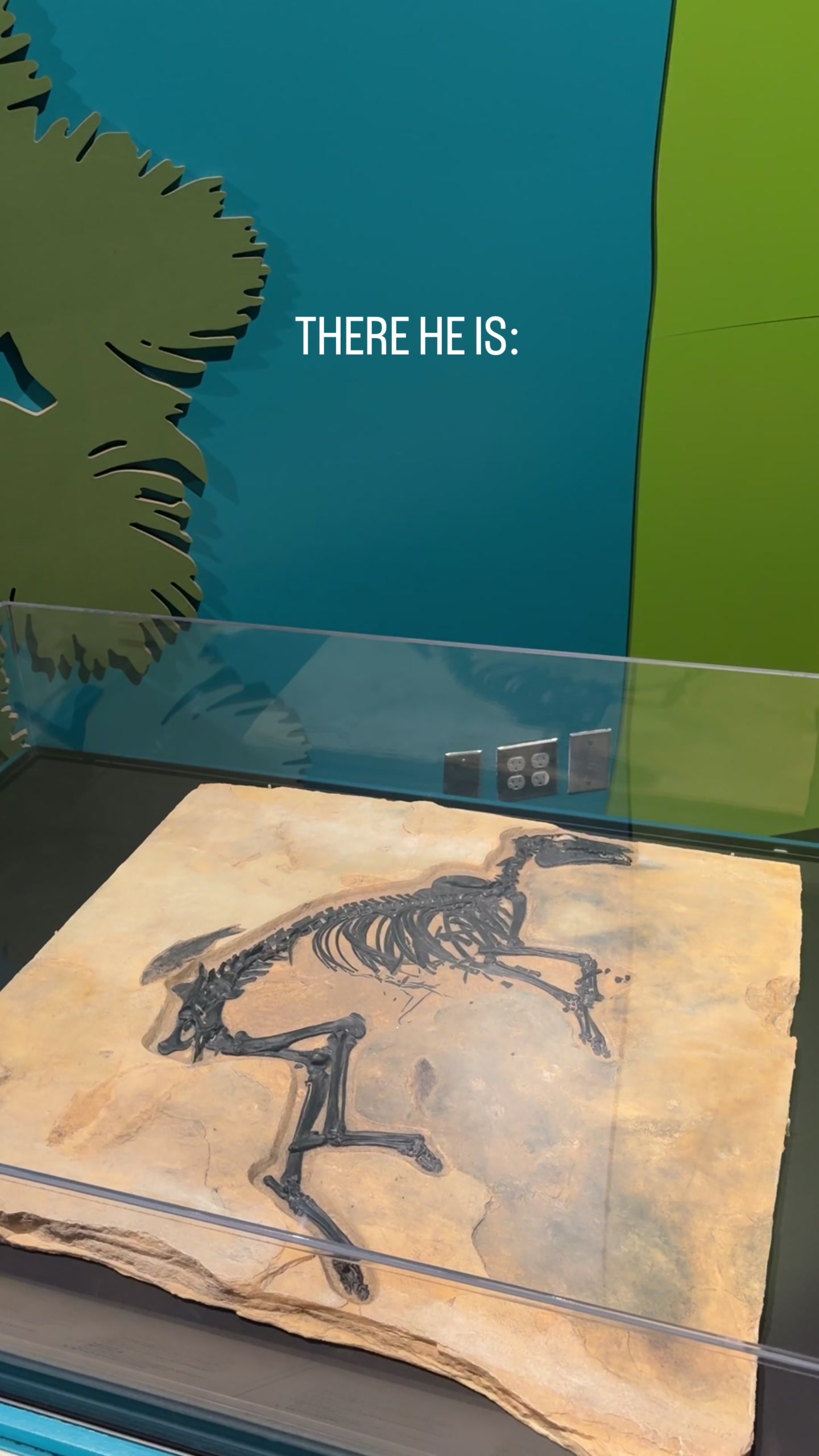@Field Museum