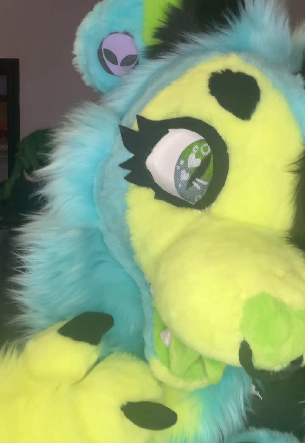 @🖤Eza the cat-lizard💚