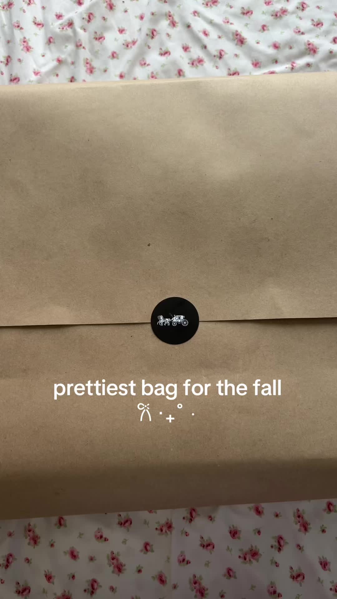 @nat 𐙚⋆