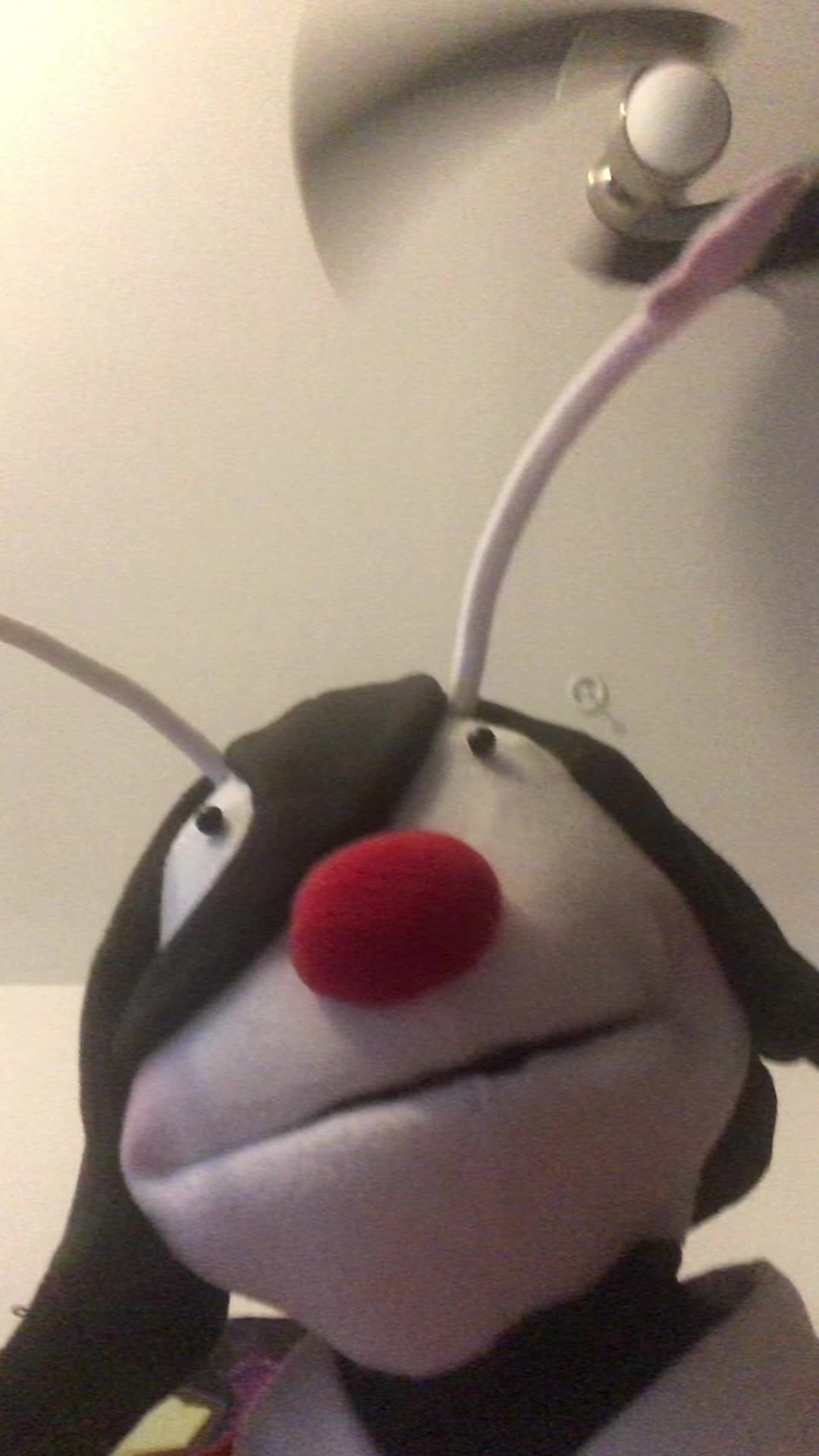 @taylor