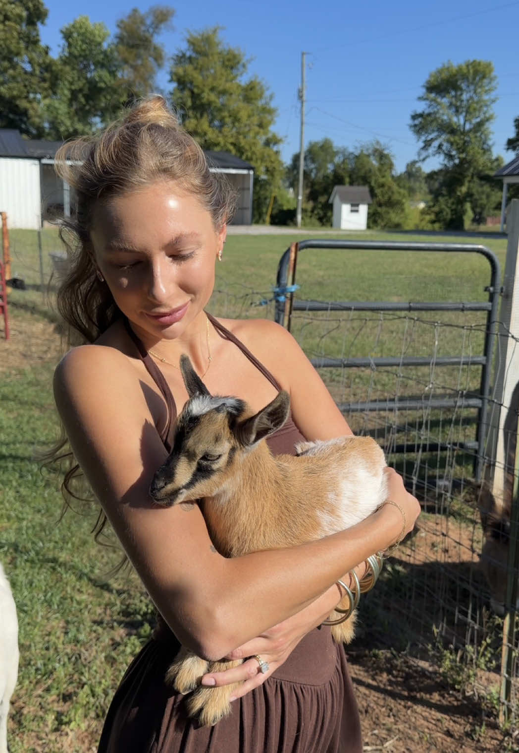 @meg’s mini farm