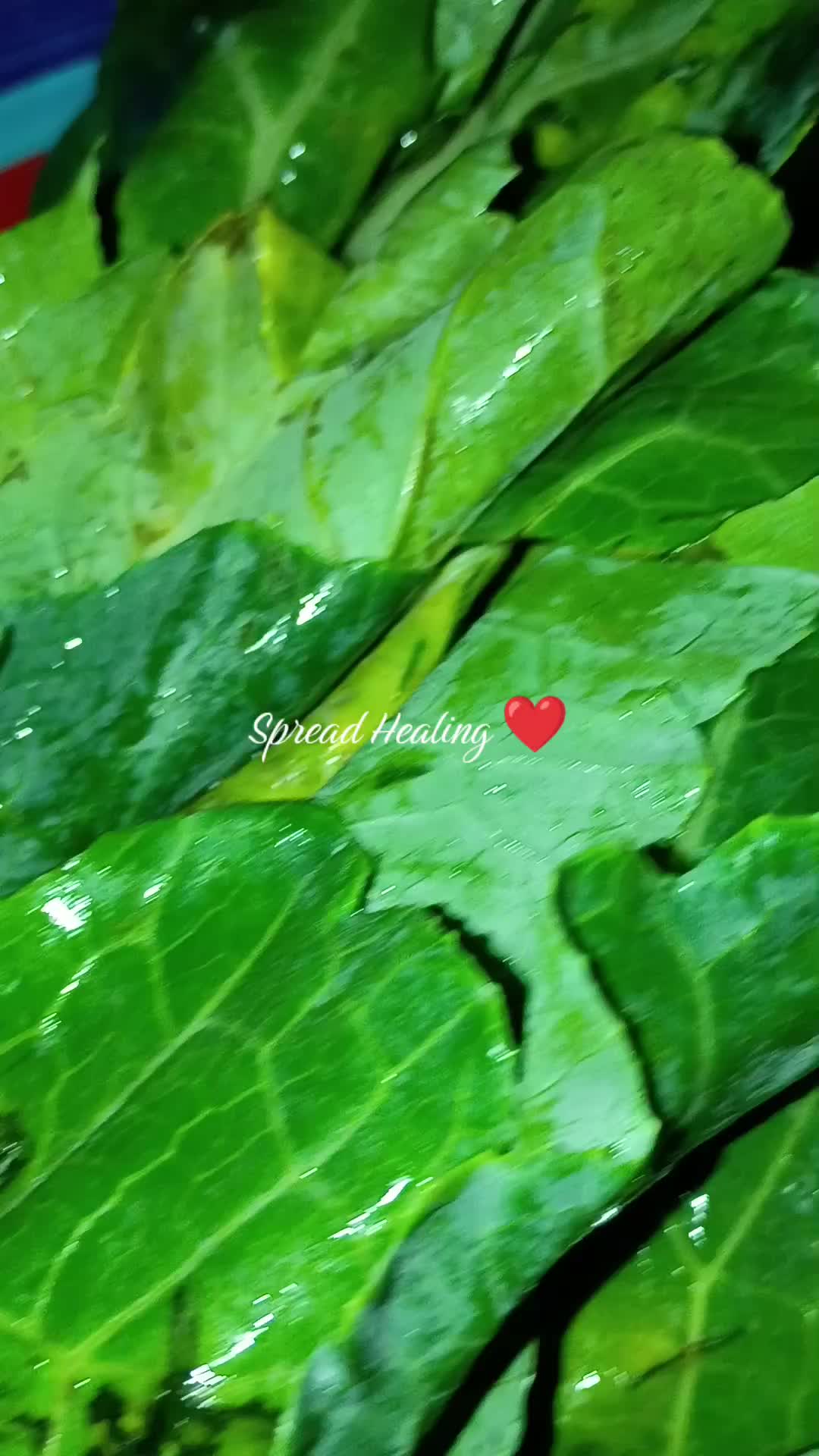 @SuppressedWounds|SA Survivor