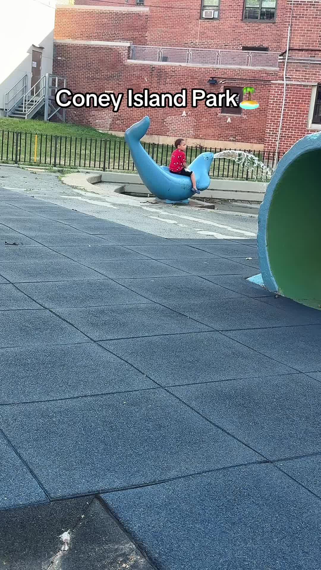 @cynonthescene