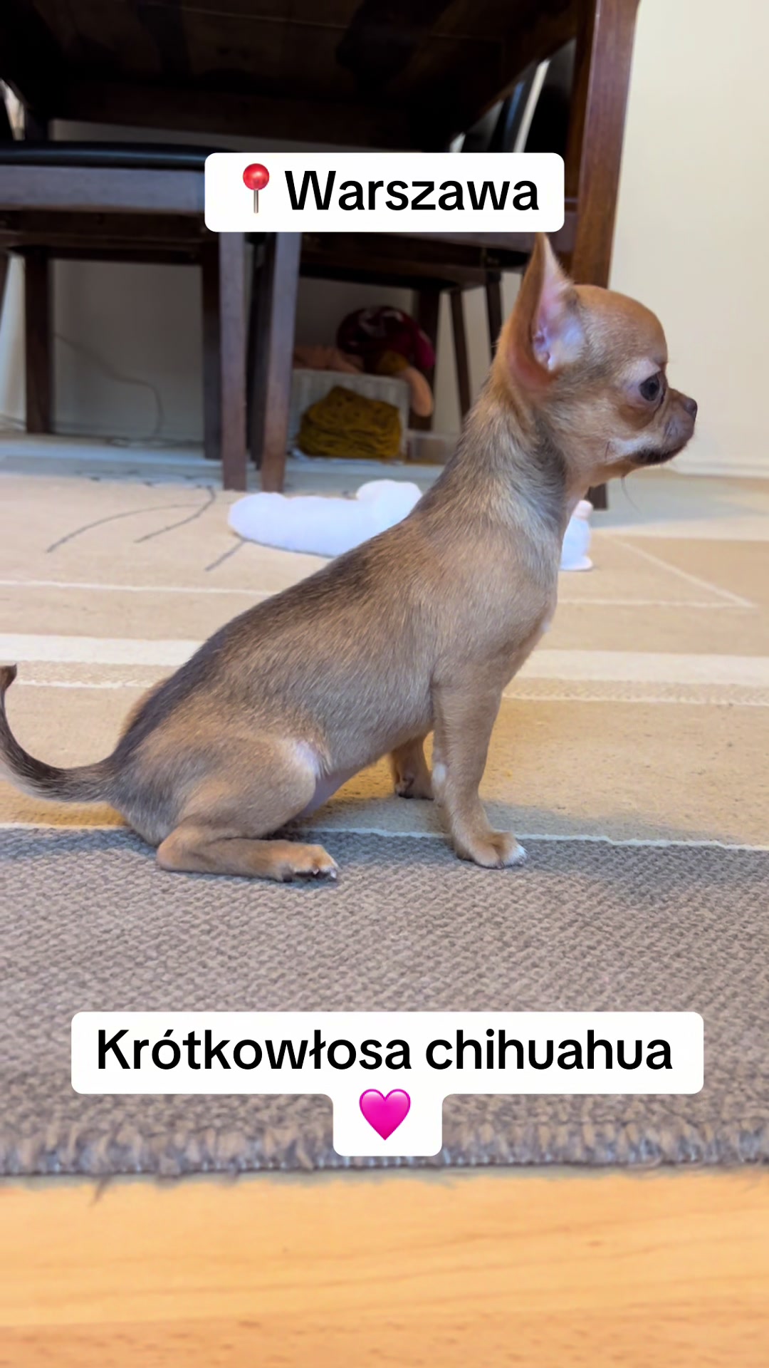 @Ulybki_lilu